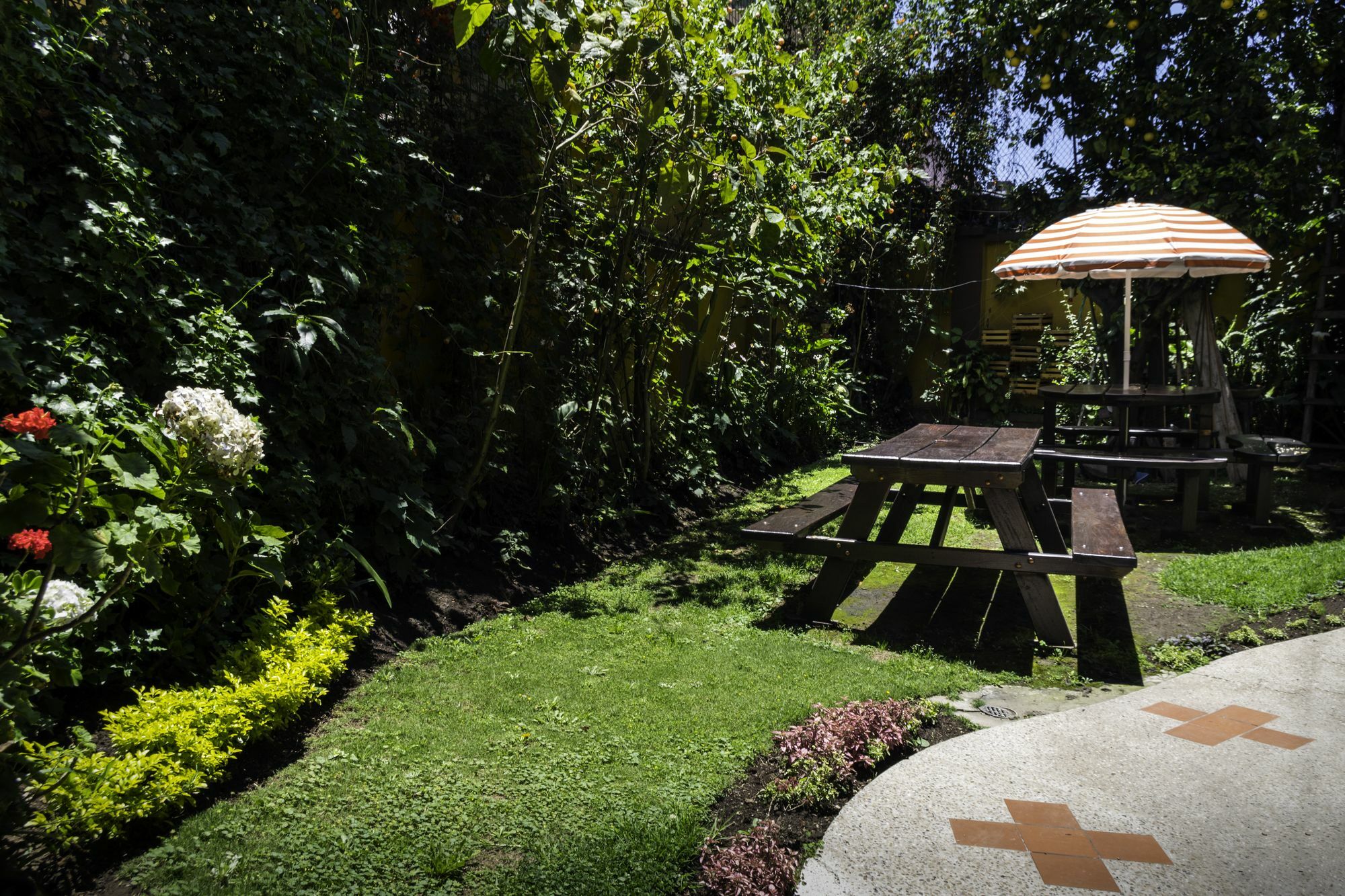 Arupo Bed And Breakfast Quito Extérieur photo